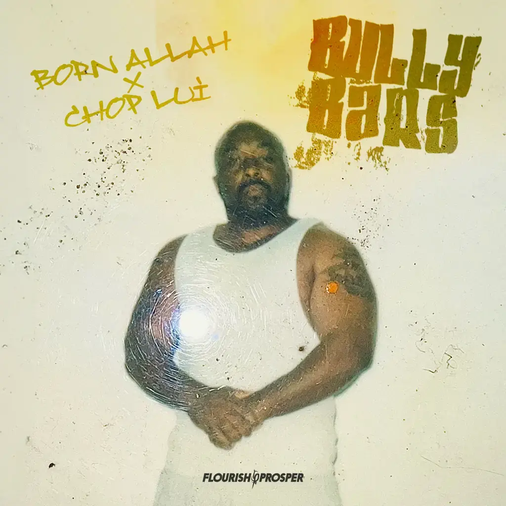 Bully Bars cover art