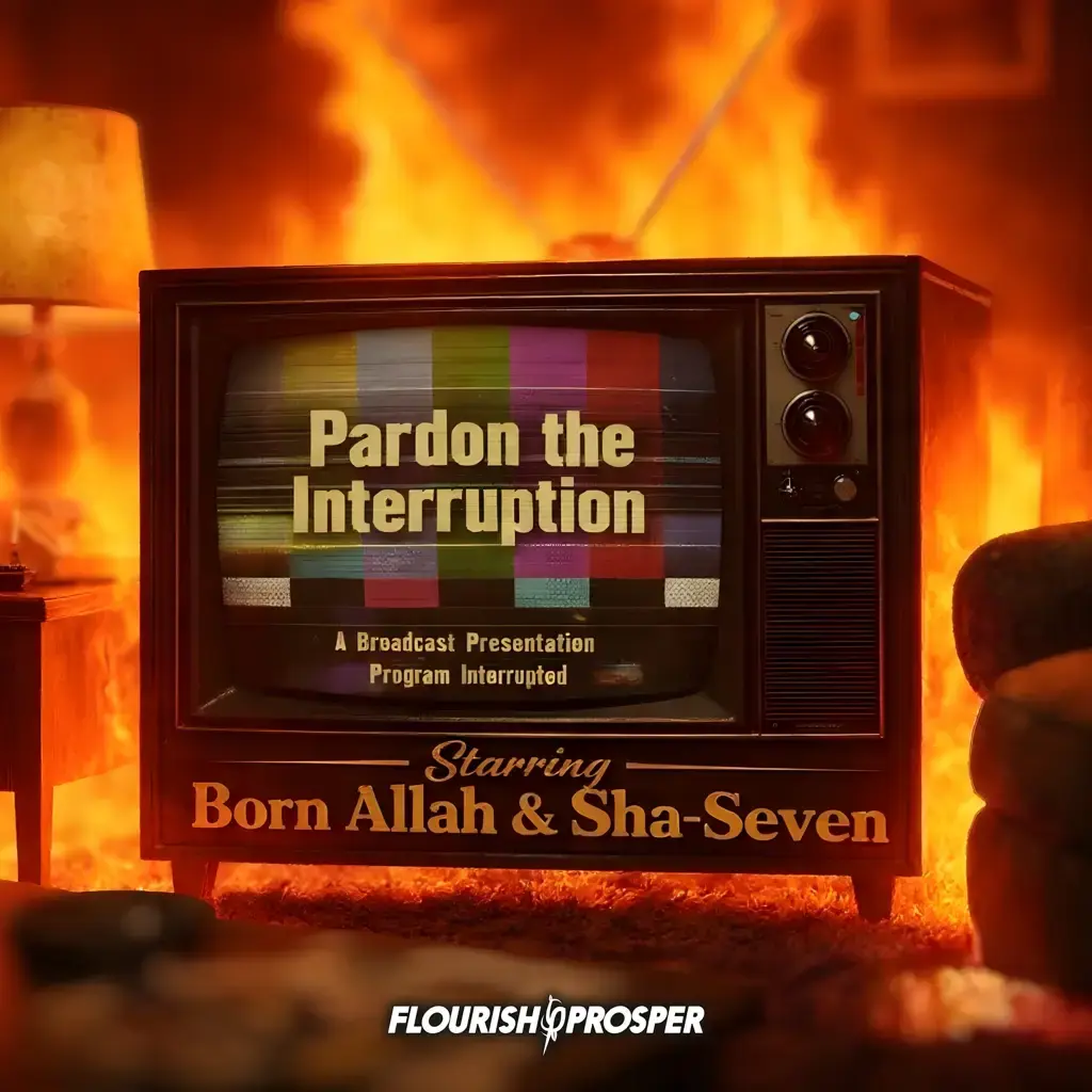Pardon the Interruption cover art