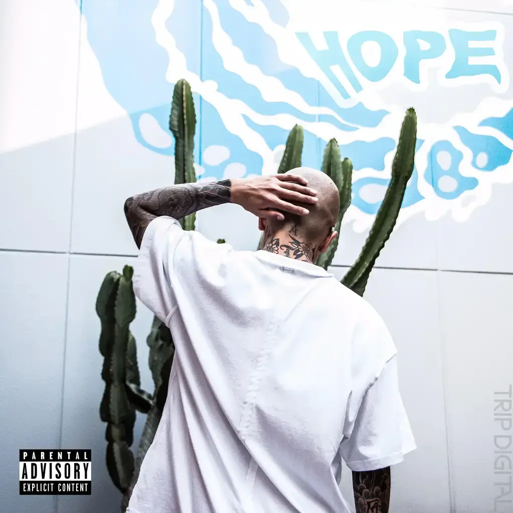 Hope cover art