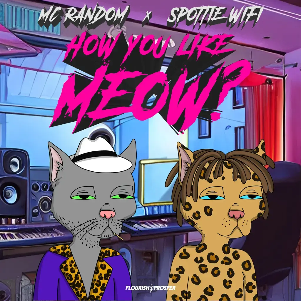 How You Like Meow? (Remix) cover art